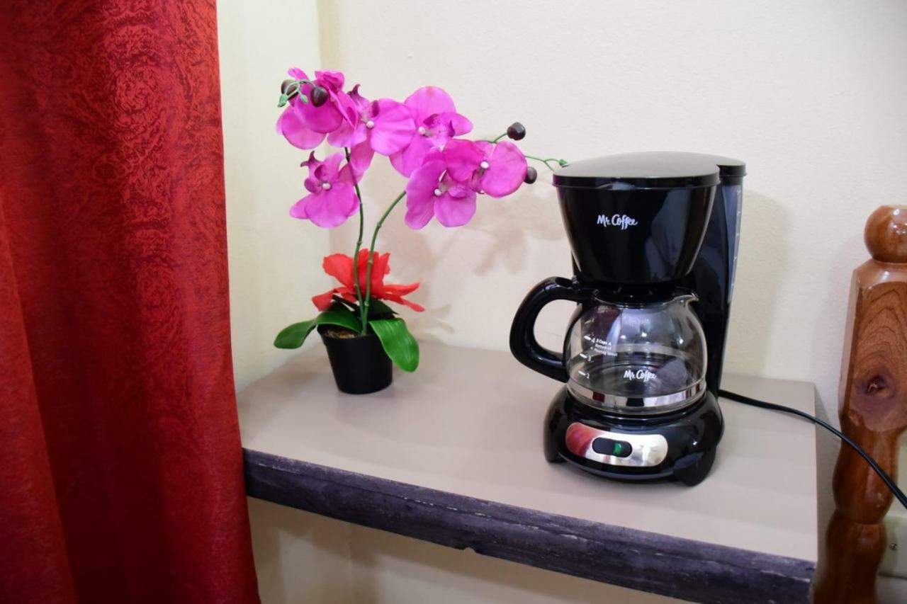 مدينة بليز Bella Sombra Guest House Downtown المظهر الخارجي الصورة